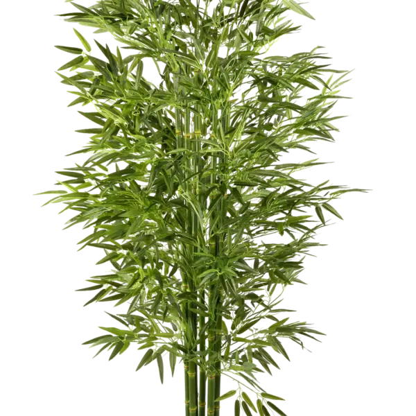 Artificial Bamboo Tree — Celadon Green 215cm | Vyne Boutique