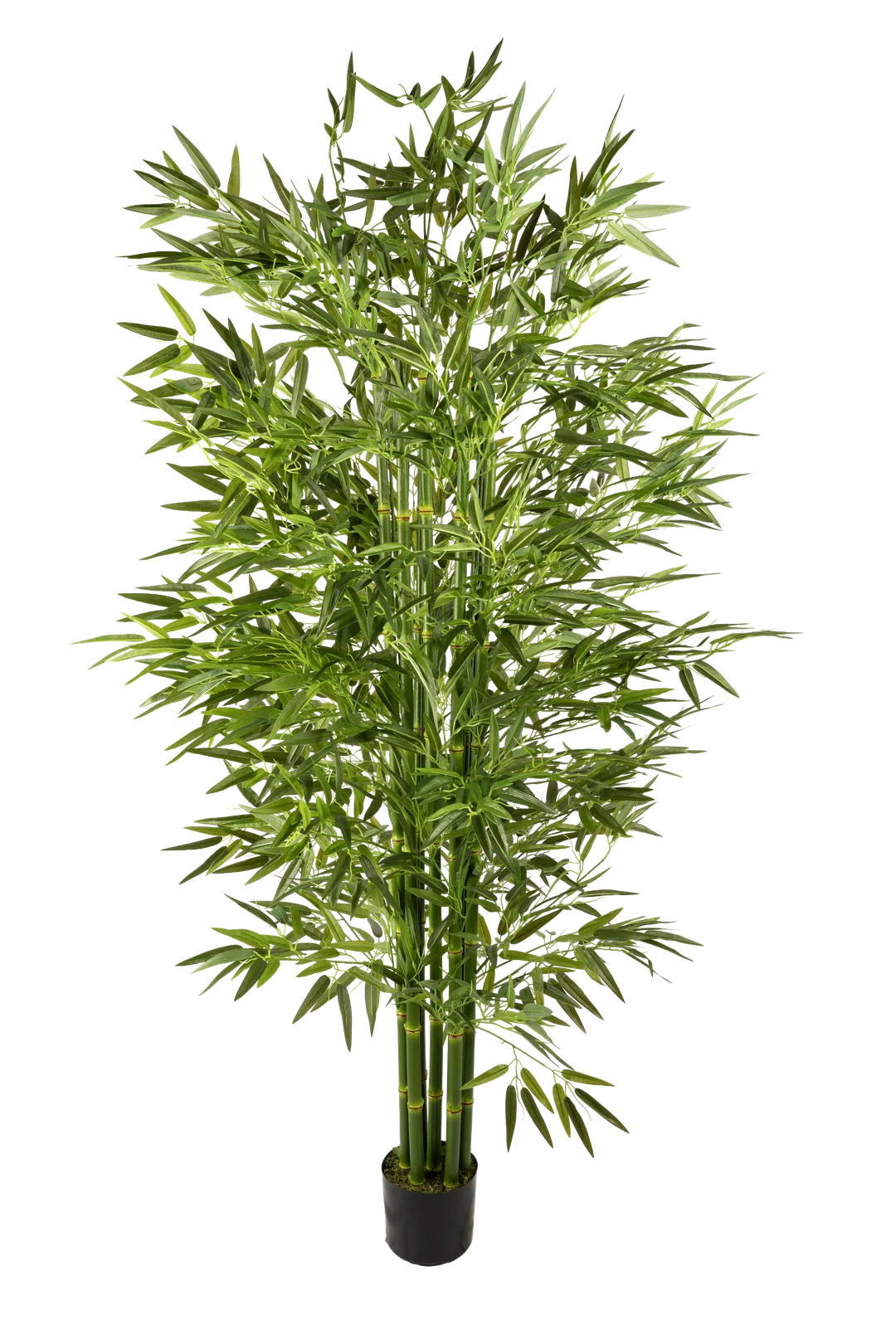 Bamboo (Celadon Green) 215cm | Vyne Artificial Bamboo Tree — Celadon Green 215cm | Vyne Boutique