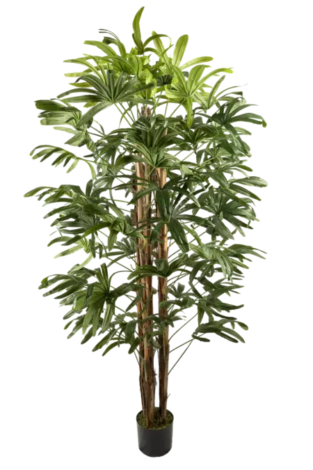 Artificial Rhapis Palm — Lady Palm 195cm | Vyne Boutique