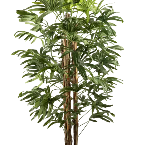 Artificial Rhapis Palm — Lady Palm 195cm | Vyne Boutique