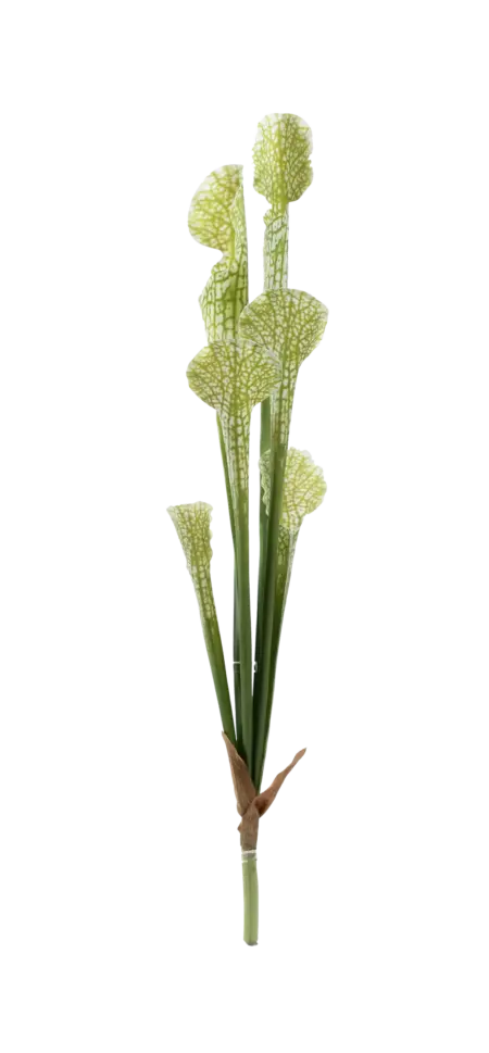 Artificial Pitcher Plant — Veined Lime Green | Vyne Boutique
