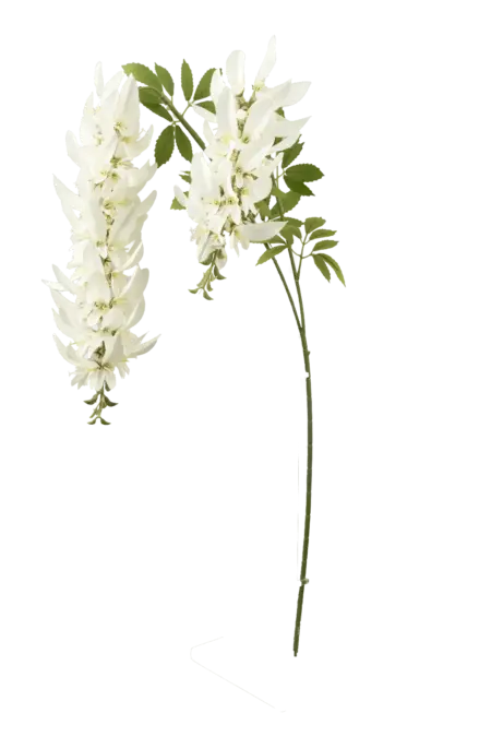 Artificial Wisteria Flower — Cream Ivory | Vyne Boutique