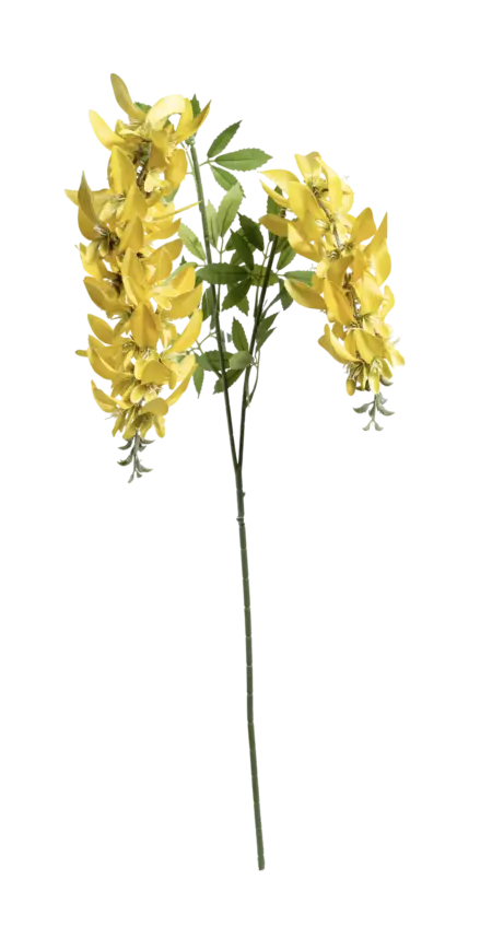 Artificial Wisteria Flower — Golden Bloom Yellow | Vyne
