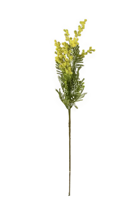 Artificial Acacia Stem — Fresh Spring Lime | Vyne Boutique