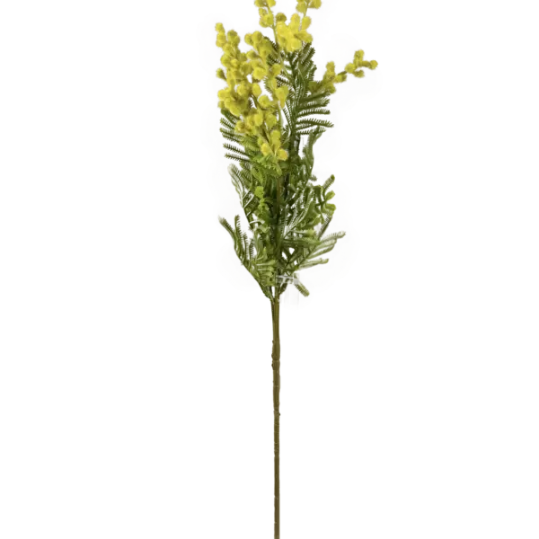Artificial Acacia Stem — Fresh Spring Lime | Vyne Boutique