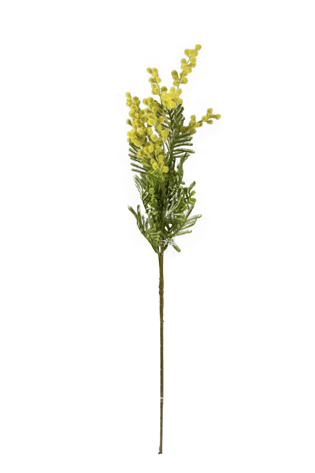 Acacia (Fresh Spring Lime) | Vyne Artificial Acacia Stem — Fresh Spring Lime | Vyne Boutique