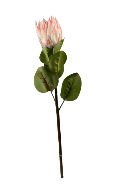 Artificial Protea Flower — Blush Ivory | Vyne Boutique