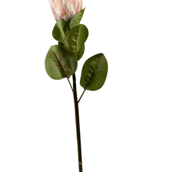 Artificial Protea Flower — Blush Ivory | Vyne Boutique