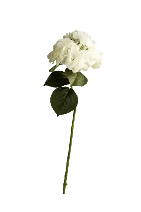 Artificial Protea Flower — Ivory Flame | Vyne Boutique