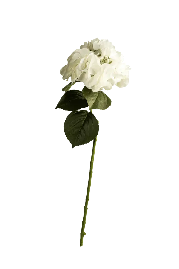 Artificial Protea Flower — Ivory Flame | Vyne Boutique