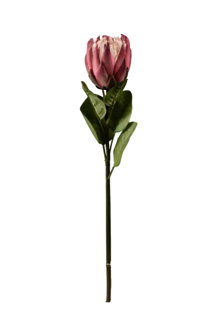 Artificial Protea Flower — Orchid Rose Pink | Vyne Boutique