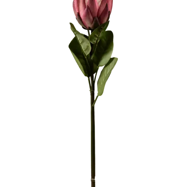 Artificial Protea Flower — Orchid Rose Pink | Vyne Boutique