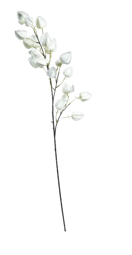 Artificial Chinese Lantern — Soft Ivory | Vyne Boutique