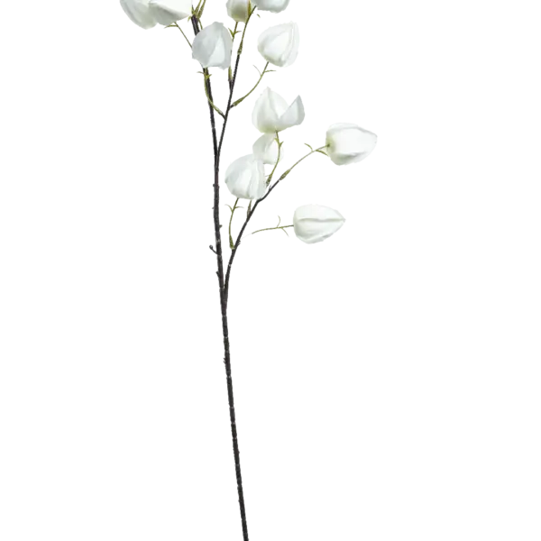 Artificial Chinese Lantern — Soft Ivory | Vyne Boutique