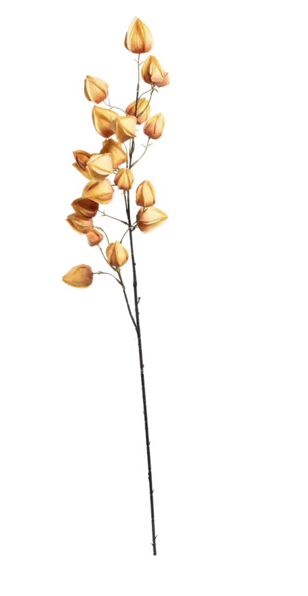 Artificial Chinese Lantern — Apricot Haze | Vyne Boutique