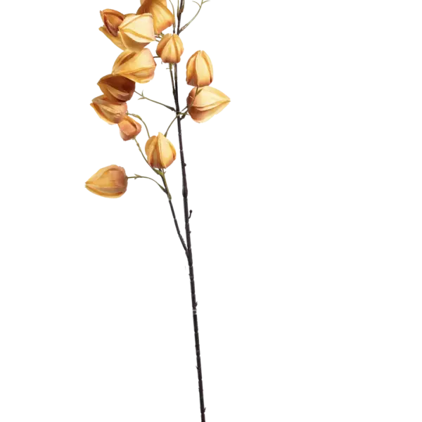 Artificial Chinese Lantern — Apricot Haze | Vyne Boutique