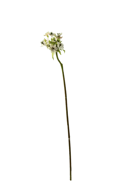 Artificial Star of Bethlehem — Pearl White | Vyne Boutique