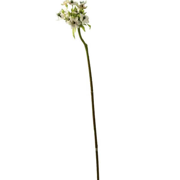 Artificial Star of Bethlehem — Pearl White | Vyne Boutique