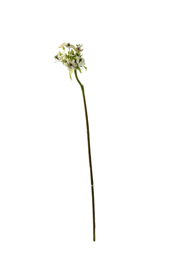 Artificial Star of Bethlehem — Pearl White | Vyne Boutique