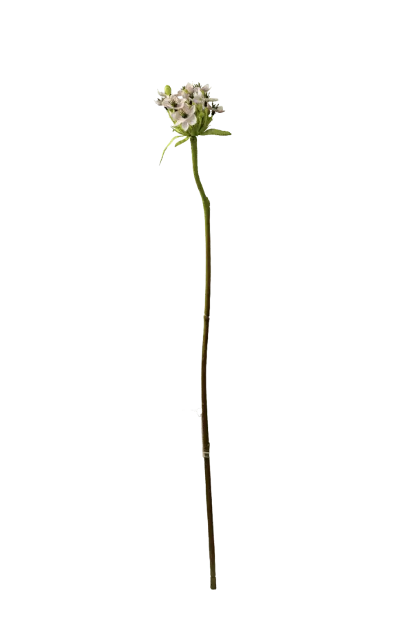 Artificial Star of Bethlehem — Soft Blush | Vyne Boutique