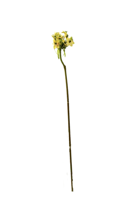 Artificial Star of Bethlehem — Butter Yellow | Vyne Boutique