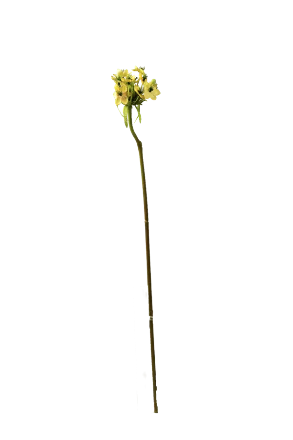 Artificial Star of Bethlehem — Butter Yellow | Vyne Boutique