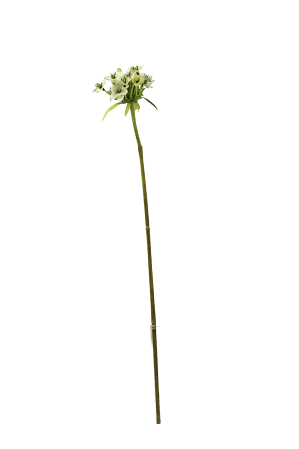 Artificial Star of Bethlehem — Snow White | Vyne Boutique