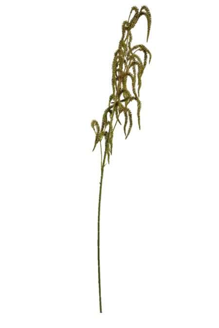 Artificial Amaranthus Stem — Autumn Ember | Vyne Boutique
