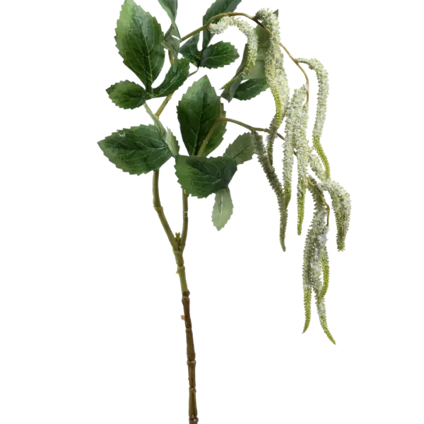 Artificial Amaranthus Vine — Soft Ivory Green | Vyne