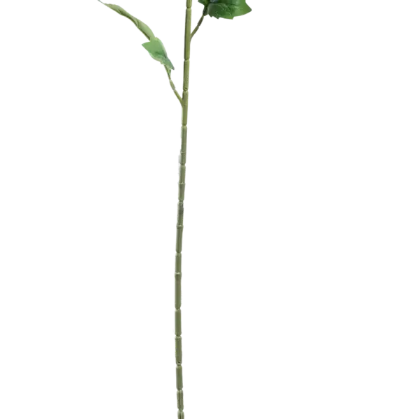 Artificial Spider Chrysanthemum — Celery Mist | Vyne