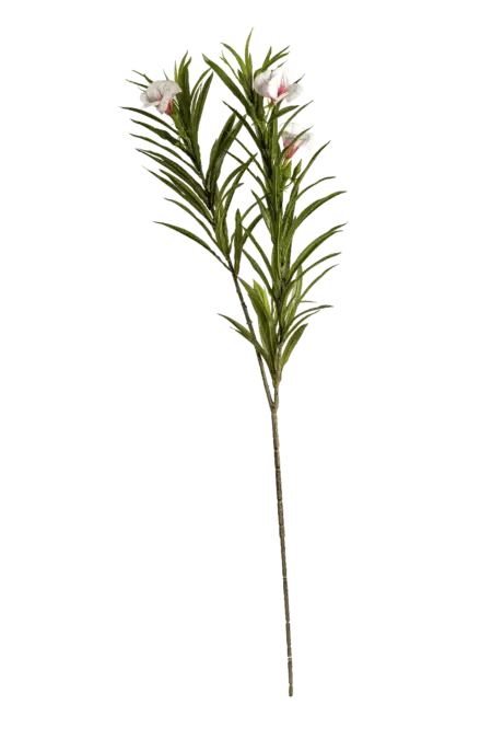 Artificial Ruellia Flower — Blush Ivory Cream | Vyne Boutique