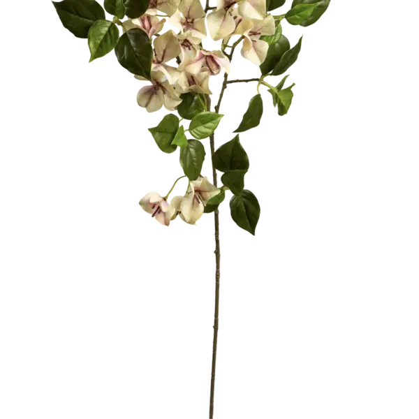Artificial Bougainvillea Flower — Buttercream Veil | Vyne