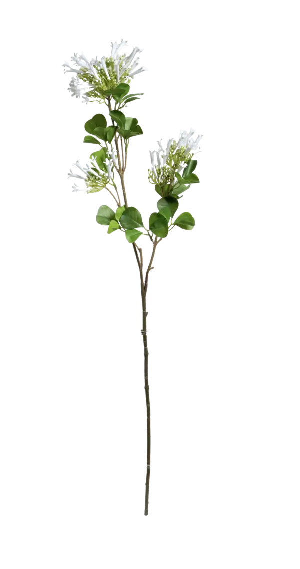 Artificial Honeysuckle Spray — Ivory Snow White | Vyne