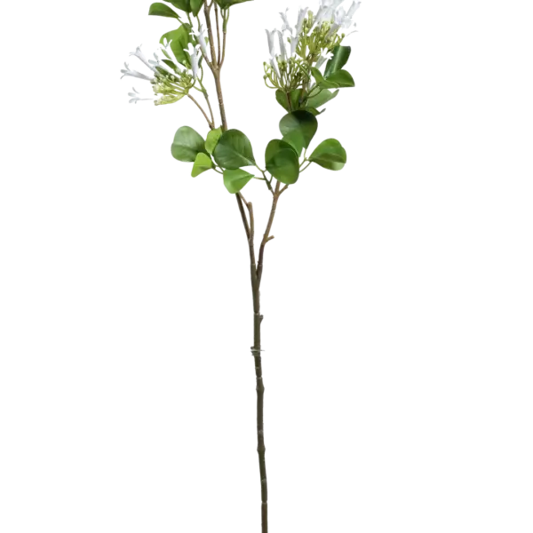 Artificial Honeysuckle Spray — Ivory Snow White | Vyne
