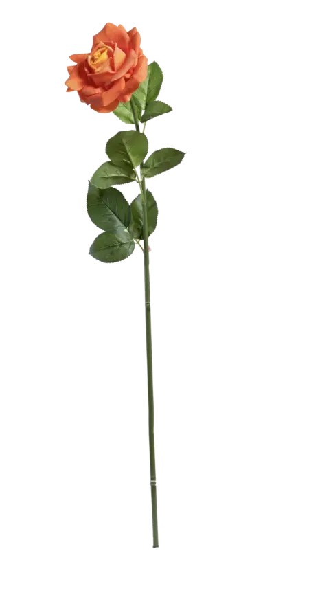 Artificial Peach Rose — Peach Blush | Vyne Boutique