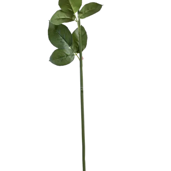 Artificial Peach Rose — Peach Blush | Vyne Boutique