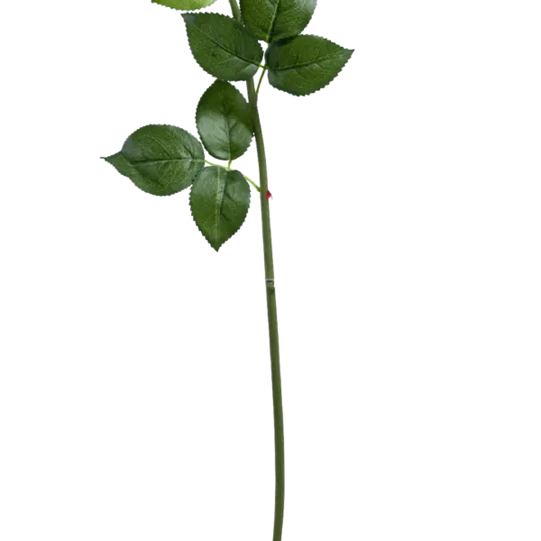 Artificial White Rose — Porcelain Veil | Vyne Boutique