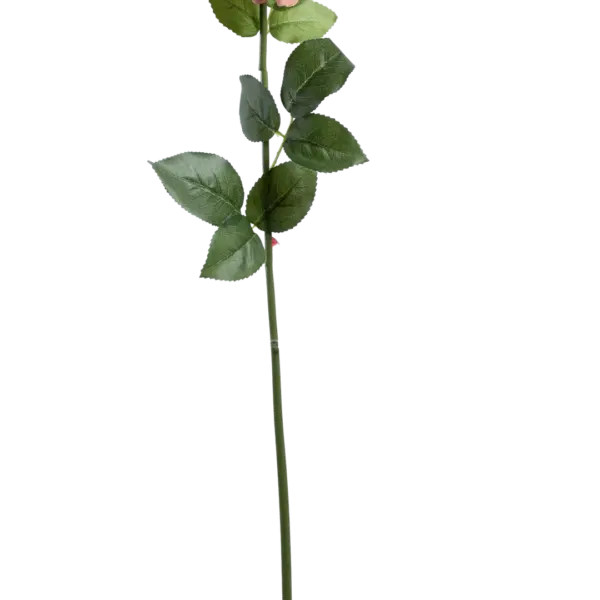 Artificial Grand Gala Rose — Peach Blush | Vyne Boutique