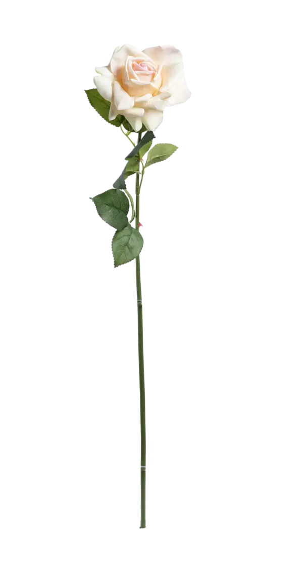 Artificial Cream Rose — Classic Cream | Vyne Boutique