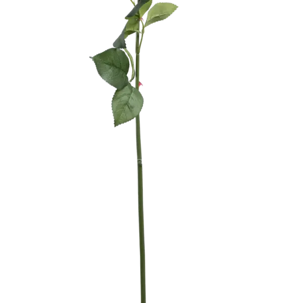 Artificial Cream Rose — Classic Cream | Vyne Boutique