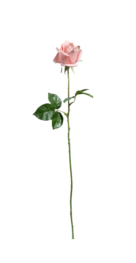 Artificial Pink Rose — Blush Veil | Vyne Boutique
