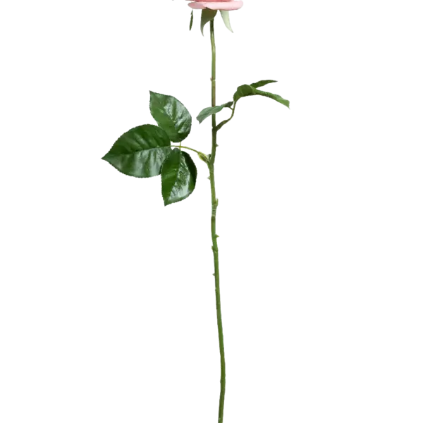 Artificial Pink Rose — Blush Veil | Vyne Boutique