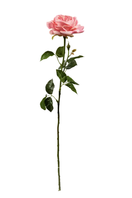 Artificial Pink Rose — Soft Blush Pink | Vyne Boutique