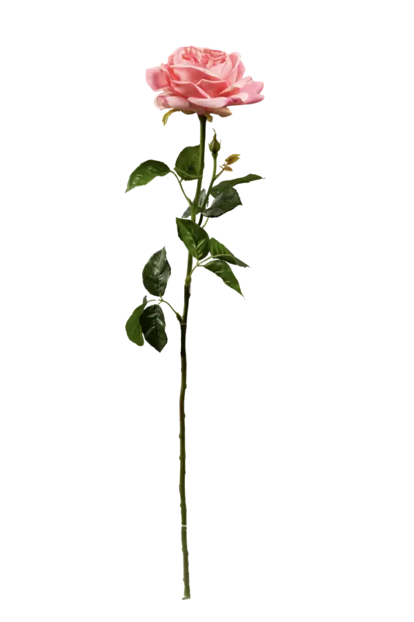 Artificial Pink Rose — Soft Blush Pink | Vyne Boutique