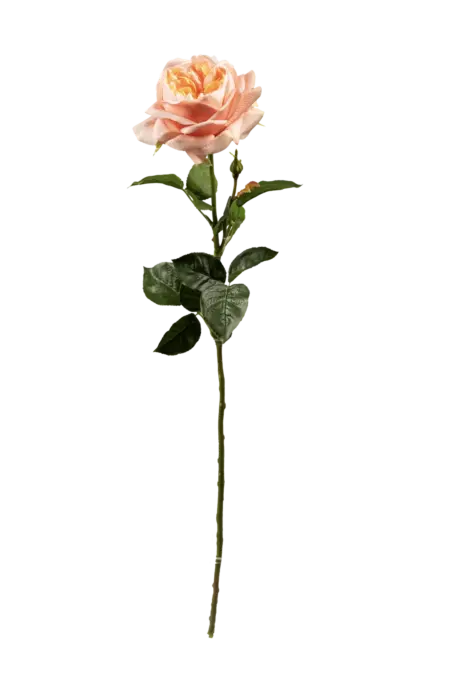 Artificial Peach Rose — Petal Peach | Vyne Boutique
