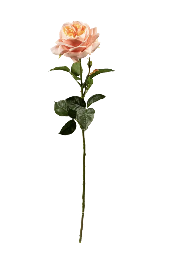 Artificial Peach Rose — Petal Peach | Vyne Boutique