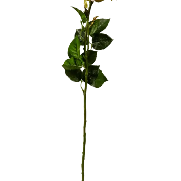 Artificial Cream Rose — Cream Ivory | Vyne Boutique