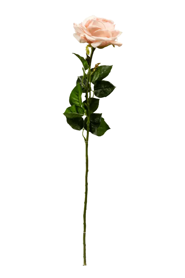 Artificial Cream Rose — Cream Ivory | Vyne Boutique