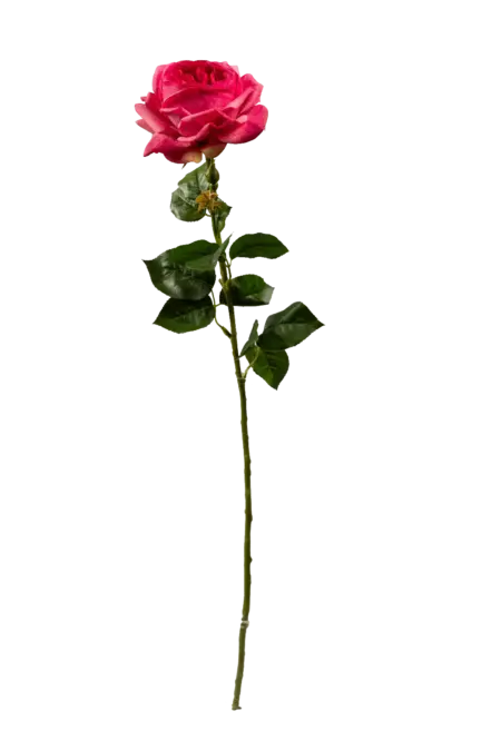 Artificial Pink Rose — Vivid Fuchsia | Vyne Boutique