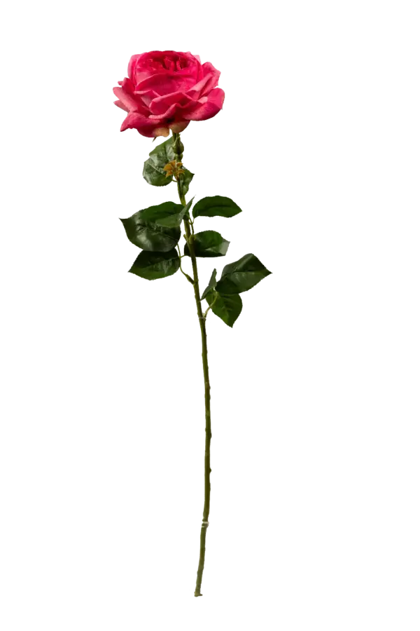 Artificial Pink Rose — Vivid Fuchsia | Vyne Boutique